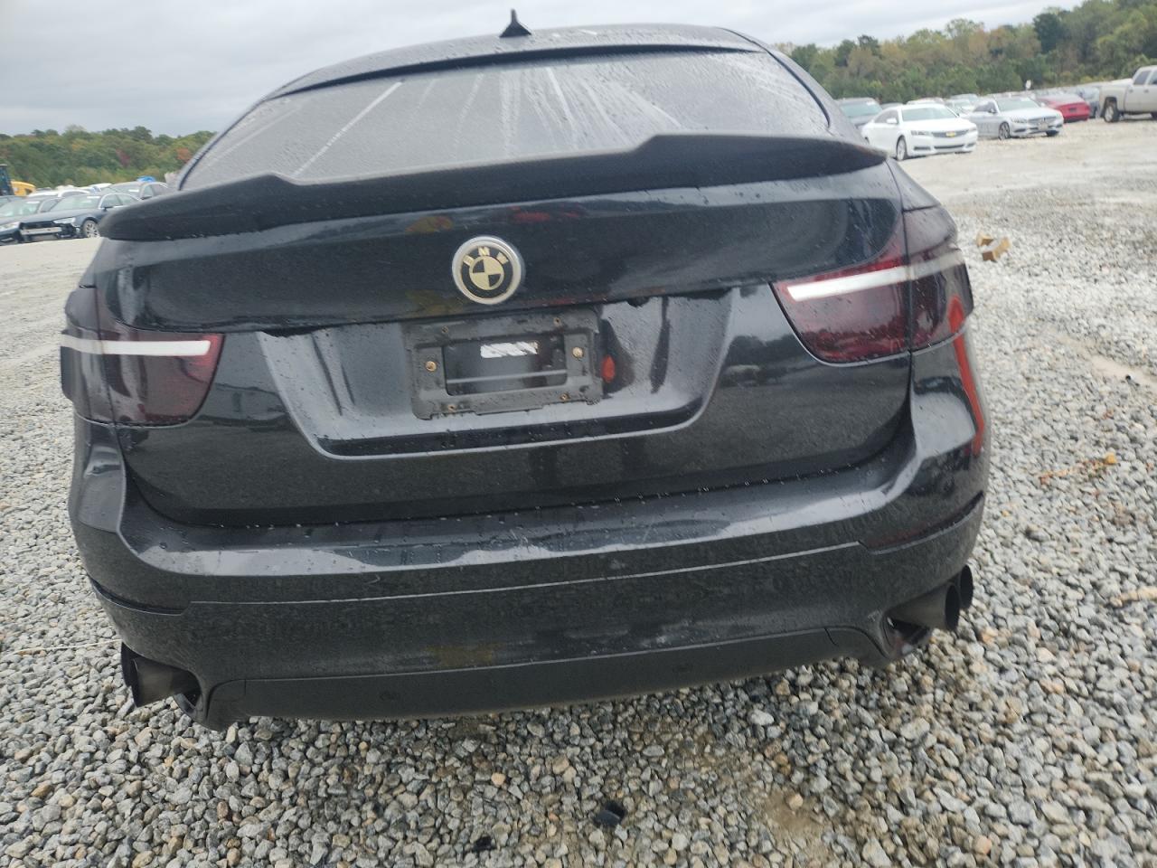 BMW X Series Xdrive50i Image 11