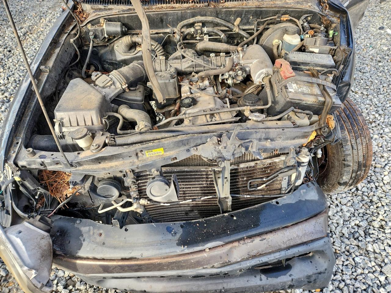 Toyota Tacoma Image 7