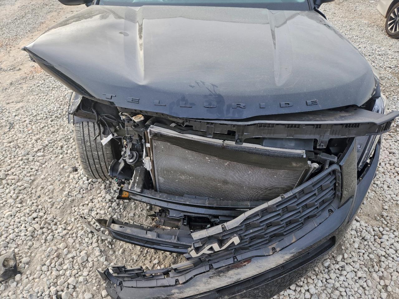 Kia Telluride Ex Image 8