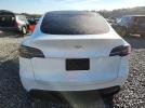 Tesla Model Y Image 11