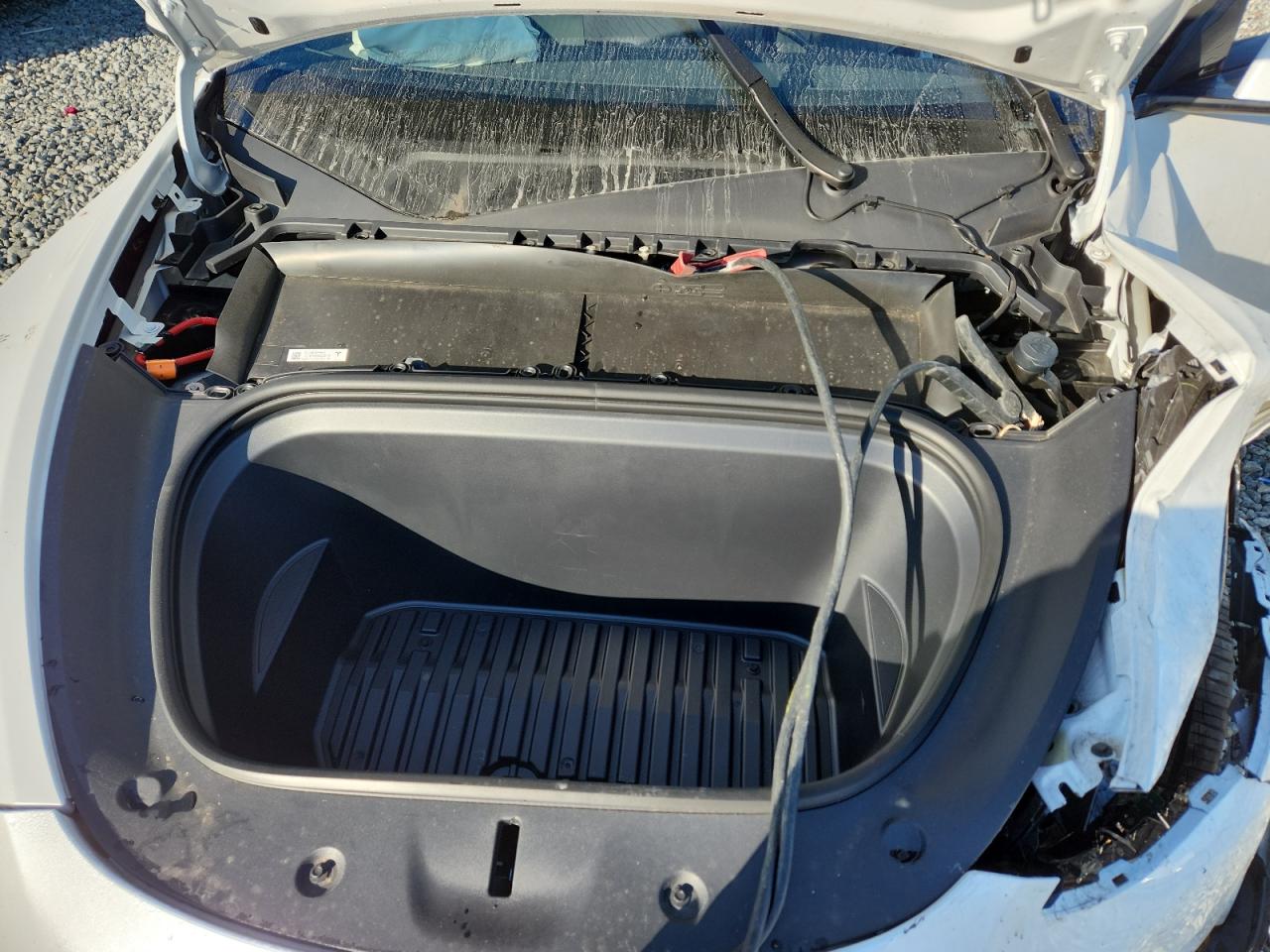 Tesla Model Y Image 5