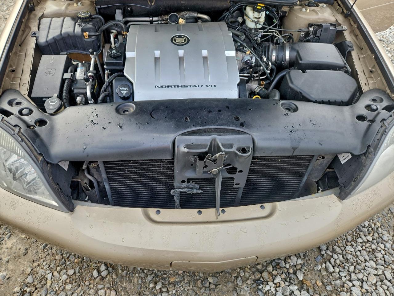 Cadillac DeVille Image 10