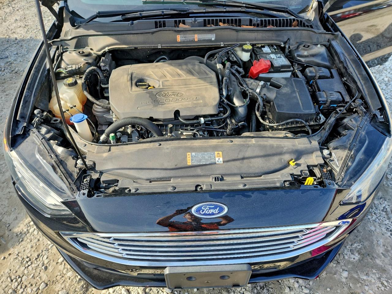 Ford Fusion Se Image 12