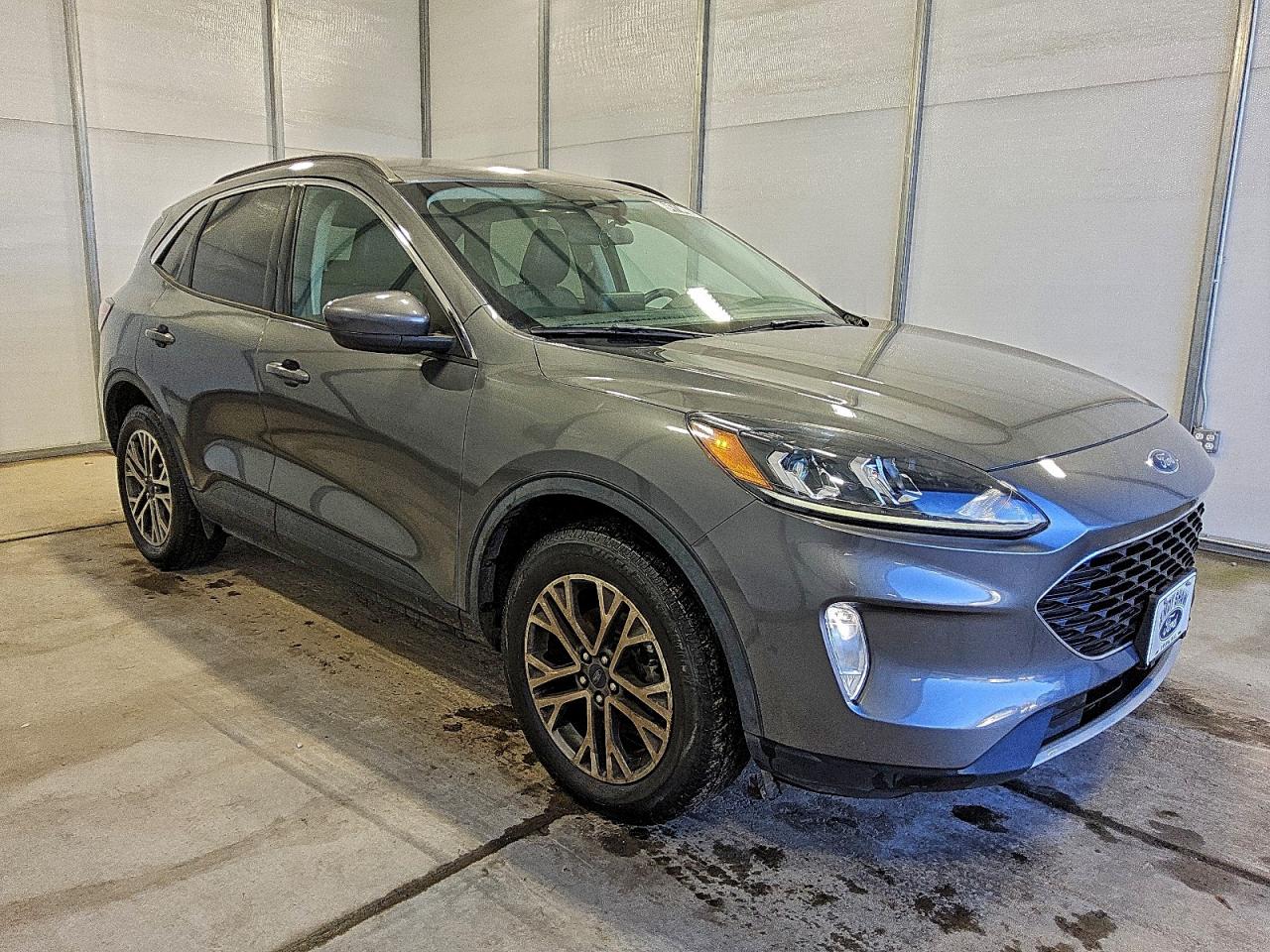 Ford Escape Sel Image 3