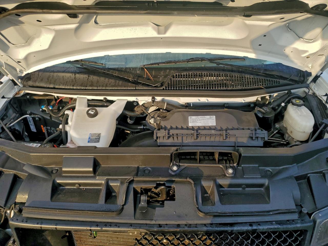 Chevrolet Express Image 3