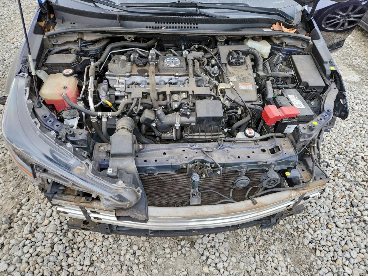 Toyota Corolla Le Image 3